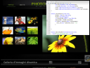 video flash